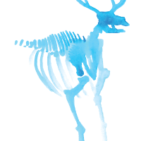 skele-deer