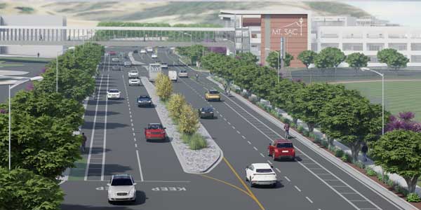 Conceptual rendering of Temple Ave. Green Corridor