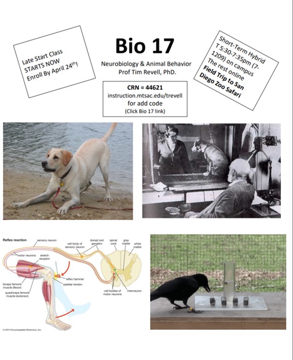 bio17flyer