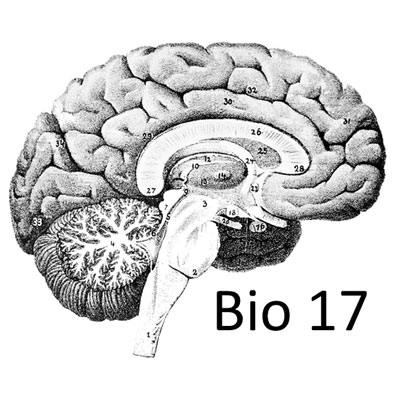 生物学17